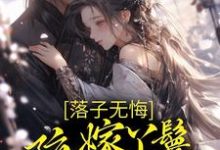 《落子无悔，陪嫁丫鬟一心逃离》全集免费在线阅读（檀容韩晏）-书格格