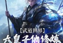 完结版《武道世界：六皇子他修炼修成逆子啦》在线免费阅读-书格格