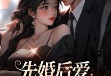 先婚后爱，总裁乖乖躺好章节免费在线阅读，夜焱温小暖完结版-书格格