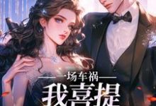 完结版《一场车祸，我喜提妻女一双？》章节阅读-书格格