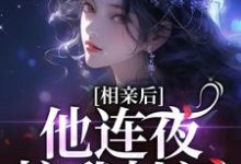 完整版《相亲后，他连夜拉我扯证》小说免费阅读-书格格