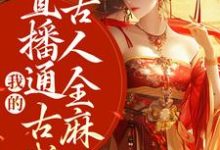 小说完整版《我的直播通古代，古人全麻了》免费阅读-书格格