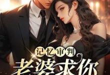 已完结小说《记忆审判：老婆求你看我一眼》章节在线阅读-书格格