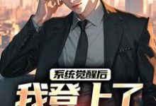 小说完整版《系统觉醒后，我登上了权力巅峰》免费阅读-书格格