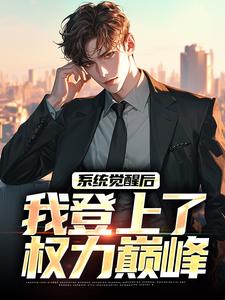 小说完整版《系统觉醒后，我登上了权力巅峰》免费阅读