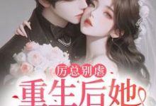 完结版《报告总裁！夫人她重生后立马退婚了》章节阅读-书格格