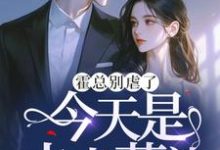 夏星瞳完整版《霍总别虐了，今天是夫人葬礼》小说免费阅读-书格格