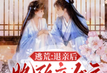 许知意沈无忧小说完整版《逃荒：退亲后，她改立女户招赘婿》免费阅读-书格格