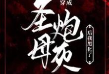 完结版《【末世】穿成圣母炮灰后我黑化了》免费阅读-书格格