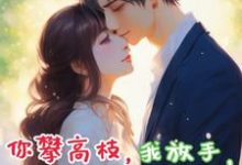 完结版《你攀高枝，我放手，你后悔什么？》章节阅读-书格格