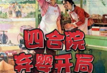 完结版《四合院：弃婴开局，被易中海收养》在线免费阅读-书格格