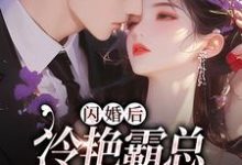 《闪婚后，冷艳霸总宠妻无度》小说章节在线试读，《闪婚后，冷艳霸总宠妻无度》最新章节目录-书格格