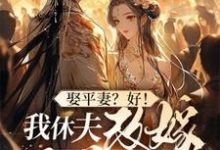 《娶平妻？好！我休夫改嫁王爷给你看》姜芸涵小说免费阅读完整版-书格格