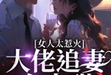 完结版《女人太惹火，大佬追妻有点甜》章节阅读-书格格