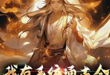 沈炼小说完整版《我有系统通古今，开局就反清》免费阅读-书格格