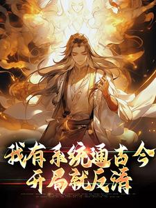 沈炼小说完整版《我有系统通古今，开局就反清》免费阅读