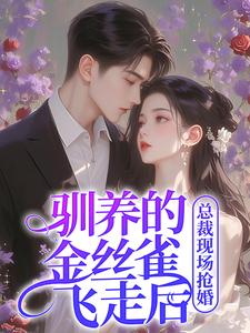 完整版《驯养的金丝雀飞走后，总裁现场抢婚》小说免费阅读