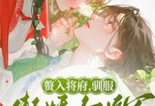 已完结小说《赘入将府，驯服傲娇女将军》章节免费阅读-书格格