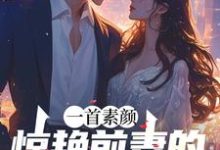 完结版《一首素颜，惊艳前妻的天后小姨》章节阅读-书格格