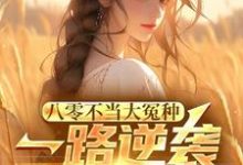 许白小说完整版《八零不当大冤种，一路逆袭你急啥》免费阅读-书格格