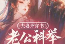 林十七周琅小说完整版《夫妻齐穿书！老公科举我躺赢！》免费阅读-书格格