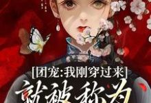 小说《团宠：我刚穿过来就被称为九天神女》完整版章节免费阅读-书格格