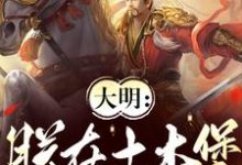 《大明：朕在土木堡杀疯了》朱祁镇小说免费阅读完整版-书格格