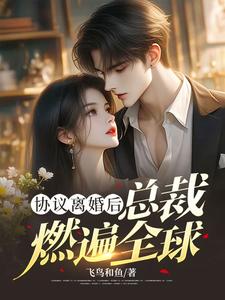 《协议离婚后，总裁燃遍全球》小说免费阅读完整版