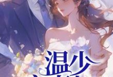 完结版《温少宠宠妻上天》章节阅读-书格格