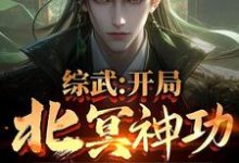 完结版《综武：开局北冥神功，获万年内力》章节阅读-书格格