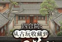 完结版《四合院：从古玩收藏到世界首富》章节目录在线阅读-书格格