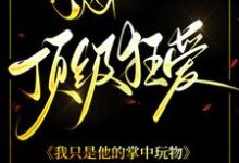 司承明盛乔依沫小说完整版《顶级狂爱：我只是他的掌中玩物》免费阅读-书格格