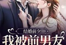 完结版《结婚前夕，我被前男友带走了》在线免费阅读-书格格