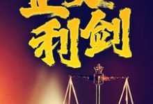 完整版小说《正义利剑》免费阅读-书格格