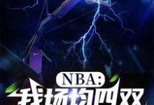 哪里能找到NBA：我场均四双，得分为零小说的最新更新和免费章节？-书格格