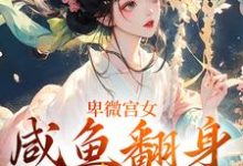 完整版《卑微宫女，咸鱼翻身成宠妃》小说免费阅读-书格格