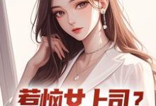 张文定小说完整版《惹恼女上司？我有妙计摆平》免费阅读-书格格