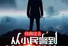 完结版《回到过去：从小民警到仕途巅峰！》章节目录在线阅读-书格格