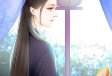 我的替嫁美娇妻小说，我的替嫁美娇妻叶飞唐云溪-书格格