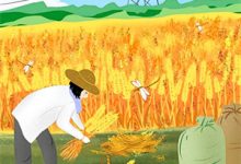 替嫁娇妻：偏执冷少惹不起林浅冷翼阳小说大结局免费试读-书格格