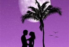 太子妃是养猪女？可她多子又多福宋知意裴景川，太子妃是养猪女？可她多子又多福最新章节-书格格