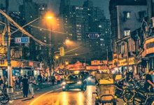 在线免费阅读空楼犹悬旧时灯完整小说-书格格